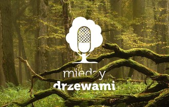 Między drzewami. Podcast