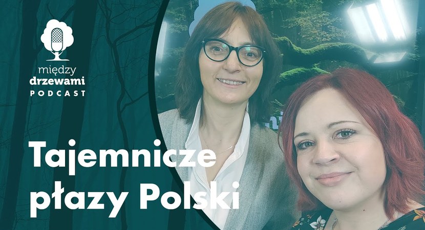 Okładka 61 odcinka podcastu "Między Drzewami" pt. Tajemnicze płazy Polski. Na zdjęciu dwie kobiety