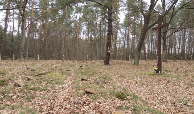 Cmentarz wojenny w Nadleśnictwie Jarosław