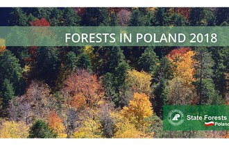 Forests in Poland 2018
