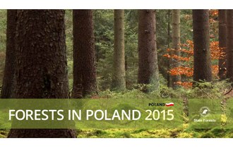 Forests in Poland 2015
