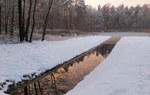 Na zdjęciu jest widoczna strumień przepływający przez las, zdjęcie zostało wykonane zimą, kiedy leży śnieg/ Fot. Ilona Żółtowska