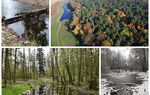 Na zdjęciach widać zbiorniki wodne znajdujące się w lesie, zdjęcia wykonano w różnych porach roku