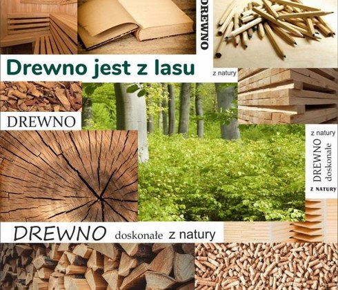 „Festiwal drewna” w Szczecinie