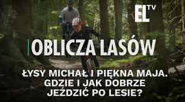 Łysy Michał i piękna Maja. Gdzie i jak dobrze jeździć po lesie? | OBLICZA LASÓW #131