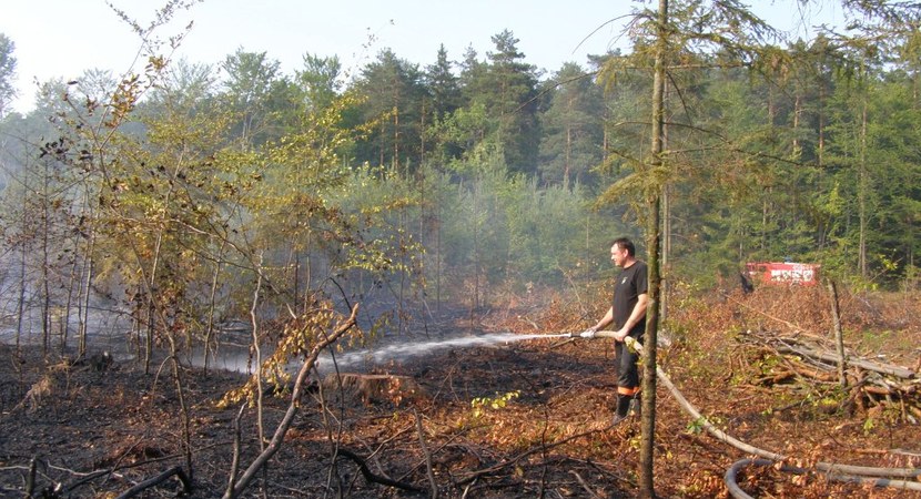 Zagrożenie pożarowe duże, ale lasy otwarte
