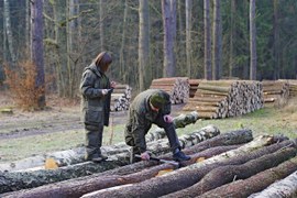 Zasady sprzedaży drewna w 2015 r. bez zmian