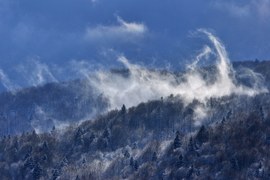 Strzępy chmur unoszące się nad zimowym bieszczadzkim lasem