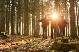 W lesie, w promieniach słońca prześwitującego zza pni drzew stoją tyłem do obiektywu 3 osoby. Jedna z nich coś wskazuje ręką.