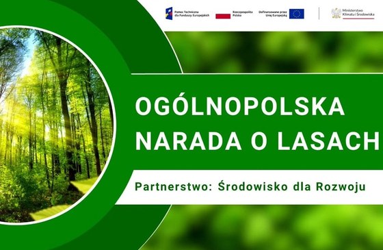 Ogólnopolska Narada o Lasach. Jak chronić lasy cenne przyrodniczo i społecznie?