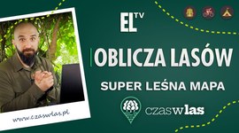 Super leśna mapa: czaswlas.pl | OBLICZA LASÓW #126