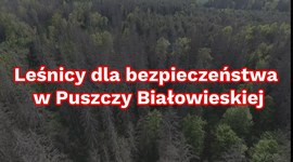 Leśnicy dla bezpieczeństwa w Puszczy Białowieskiej