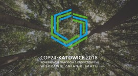 COP24. Jak Lasy Państwowe zrównoważą ślad węglowy?