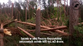 Huragan w Puszczy Knyszyńskiej