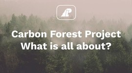 The Forest Carbon Project. What is all about?
