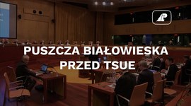Puszcza Białowieska przed TSUE