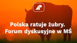 Polska ratuje żubry. Forum dyskusyjne w MŚ