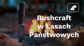 Bushcraft  w Lasach Państwowych