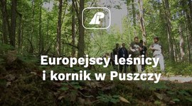Europejscy leśnicy i kornik w Puszczy