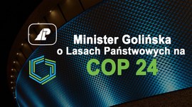 Minister Golińska o Lasach Państwowych na COP24