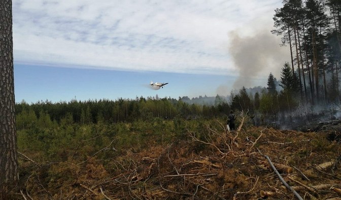 Samolot Lasów Państwowych podczas akcji gaśniczej