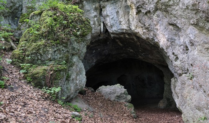 Jaskinia "Niedźwiedzia Grota"