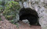 Jaskinia "Niedźwiedzia Grota"