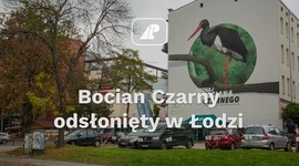 Uroczyste odsłonięcie muralu z bocianem czarnym w Łodzi