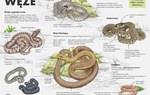 Węże.jpg