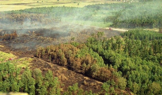 Pożar w 1992 r., fot. arch. Nadleśnictwo Rudy Raciborskie