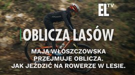 Maja Włoszczowska przejmuje Oblicza. Jak jeździć na rowerze w lesie. | OBLICZA LASÓW #130