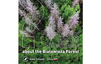 Frequently Asked Questions about the Białowieża Forest