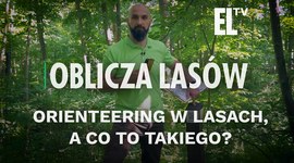 Orienteering w Lasach, a co to takiego? | OBLICZA LASÓW #128