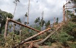[Aktualizacja] Największy kataklizm w historii Lasów Państwowych