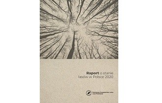 Raport o stanie lasów w Polsce 2020