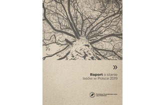 Raport o stanie lasów 2019