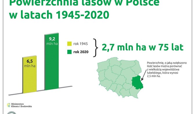 Powierzchnia lasów w Polsce