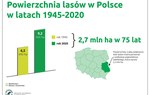 Powierzchnia lasów w Polsce