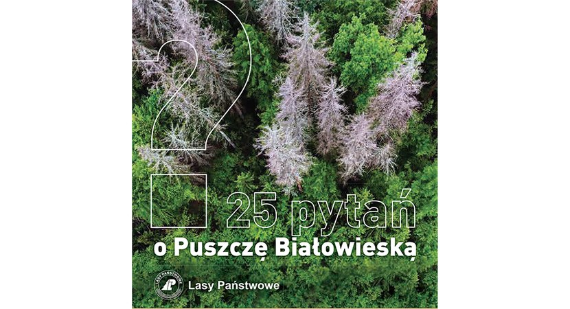 25 pytań o Puszczę Białowieską