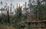 Na zdjęciu są widoczne połamane przez silny wiatr drzewa/ Fot. M. Miszke