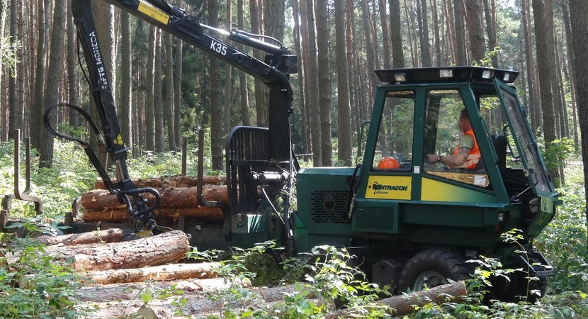 Opis standardu technologii wykonawstwa prac leśnych