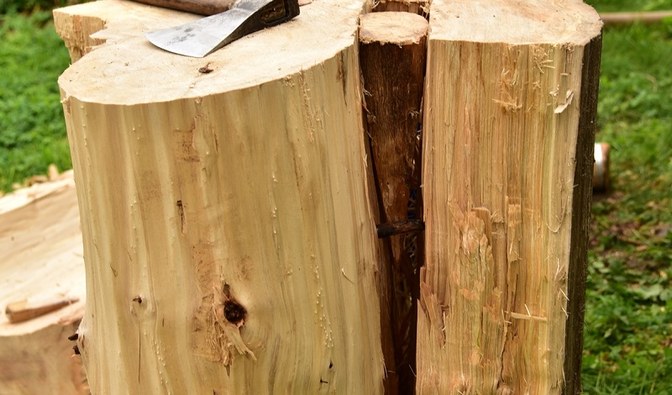 Fotografia przedstawia drewno z wbitymi w nie drewnianymi klinami.