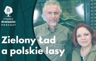 Okładka 65 odcinka podcastu Między Drzewami pt. Zielony Ład a polskie lasy, na zdjęciu mężczyzna i kobieta