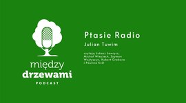 Między Drzewami - Ptasie Radio