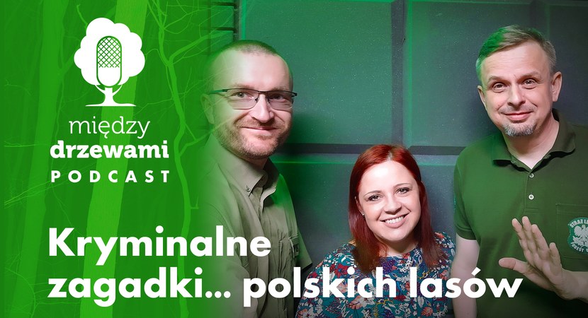 Okładka 37 odcinka podcastu pod tytułem Kryminalne zagadki polskich lasów, kobieta i dwóch mężczyzn