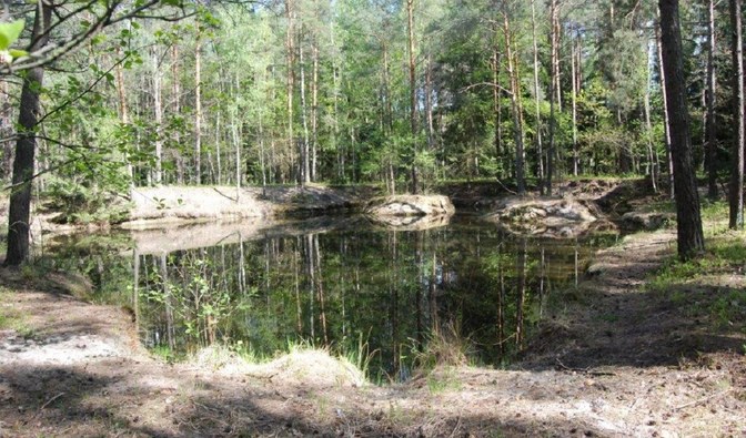 Dzięki działaniom leśników z Nadleśnictwa Chotylów korzyści z małej retencji może czerpać zwierzyna leśna, fot. Artur Soszyński