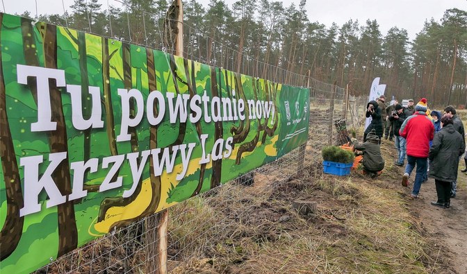 Zdjęcie przedstawia banner z napisem "Tu powstanie Krzywy Las".