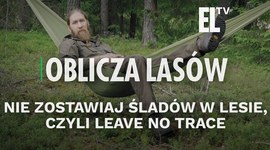 Nie zostawiaj śladów w lesie, czyli Leave No Trace | OBLICZA LASÓW #106