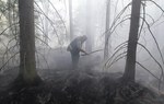 Suchy świerk przyczyną pożaru w Puszczy Białowieskiej