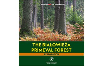 The Białowieża Primeval Forest. Restoration